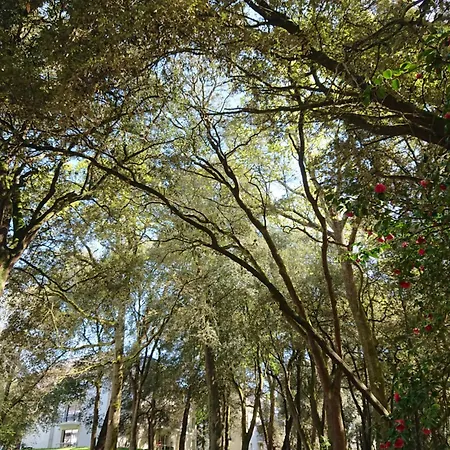 Ker Juliette Ξενοδοχείο με διαμερίσματα Pornichet