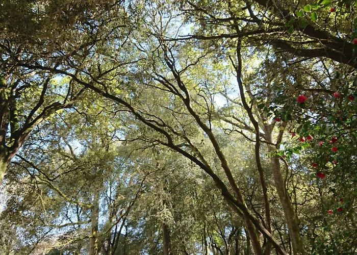 Résidence Ker Juliette Appart hôtel Pornichet